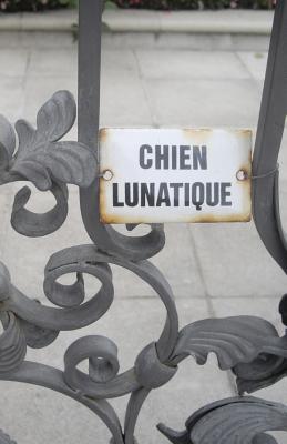 Chien Lunatique: Poems - Bernard, Christopher