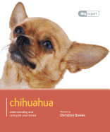 Chihuahua: Chihuahua - Dog Expert