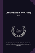 Child Welfare in New Jersey: Pt. 2