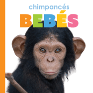 Chimpancs Bebs