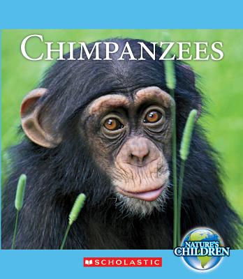 Chimpanzees - Marsico, Katie