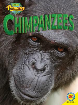 Chimpanzees - Friesen, Helen Lepp