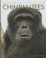 Chimpanzees