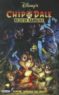 Chip 'n' Dale Rescue Rangers: Slippin' Through the Cracks