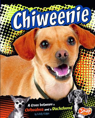Chiweenie: A Cross Between a Chihuahua and a Dachshund - Kolpin, Molly, and Dewey, Tanya (Consultant editor)