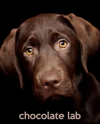 Chocolate Lab: A Gift Journal for People who Love Dogs: Chocolate Labrador Retriever Puppy Edition - Baldwin, M L, and Todayspetpublishing