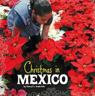 Christmas in Mexico