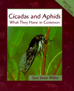 Cicadas and Aphids - Miller, Sara Swan