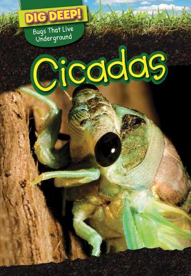 Cicadas - Buellis, Linda