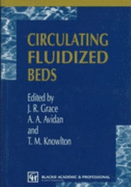 Circulating fluidized beds