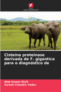 Ciste?na proteinase derivada de F. gigantica para o diagn?stico de