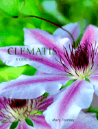 Clematis: A Care Manual