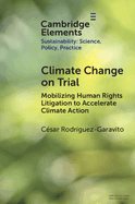 Climate Change on Trial: Mobilizing Human Rights Litigation to Accelerate Climate Action