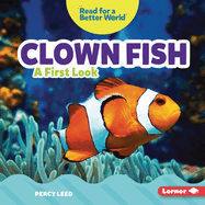 Clown Fish: A First Look
