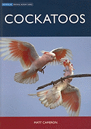 Cockatoos