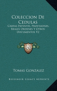 Coleccion De Cedulas: Cartas-Patentes, Provisiones, Reales Ordenes Y Otros Documentos V2: Condado Y Senorio De Vizcaya (1829)