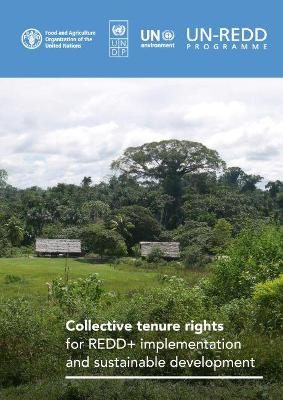 Collective tenure rights for REDD+ implementation and sustainable development - Bradley, Amanda, and Food and Agriculture Organization, and Fortuna, Serena