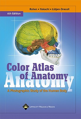 Color Atlas of Anatomy: A Photographic Study of the Human Body - Rohen, Johannes W, MD, and Yokochi, Chihiro, MD, and Lutjen-Drecoll, Elke, MD