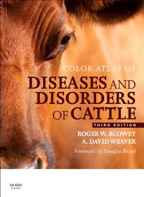 Color Atlas of Diseases and Disorders of Cattle: Color Atlas of Diseases and Disorders of Cattle - Blowey, Roger, and Weaver, A David, BSC, PhD, Frcvs
