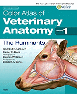 Color Atlas of Veterinary Anatomy, Volume 1: The Ruminants