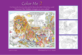 Color Me Your Way 2: Volume 2