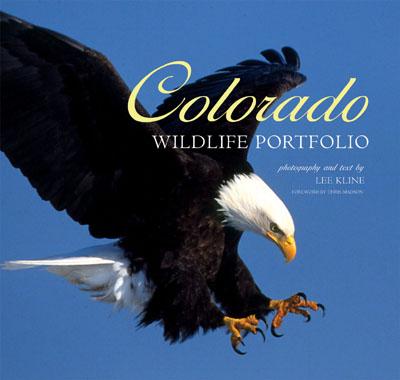 Colorado Wildlife Portfolio - Kline, Lee (Photographer)