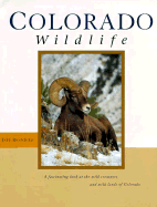 Colorado Wildlife