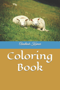 Coloring Book