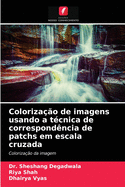 Coloriza??o de imagens usando a t?cnica de correspond?ncia de patchs em escala cruzada