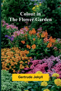 Colour In The Flower Garden