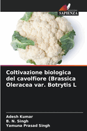 Coltivazione biologica del cavolfiore (Brassica Oleracea var. Botrytis L