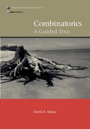 Combinatorics: A Guided Tour - Mazur, David R.