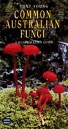 Common Australian Fungi: A Bushwalker's Guide