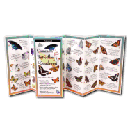 Common Butterflies of the Southwest