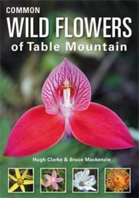 Common Wild Flowers of Table Mountain - Clarke, Hugh