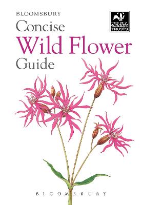 Concise Wild Flower Guide - Bloomsbury