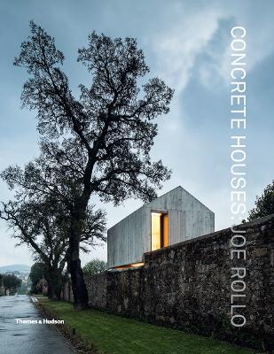 Concrete Houses: The Poetics of Form - Rollo, Joe