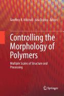 Controlling the Morphology of Polymers: Multiple Scales of Structure and Processing