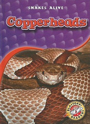 Copperheads - Sexton, Colleen