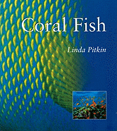 Coral Fish