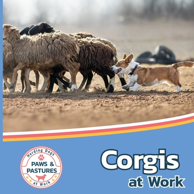 Corgis at Work - Lakes, Sabrina