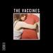 What Did You Expect From the Vaccines [180-Gram Black Vinyl With Download Code Featuring Unreleased Demos]