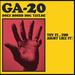 Try It... You Might Like It! GA-20 Does Hound Dog Taylor