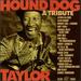 Hound Dog Taylor: Tribute