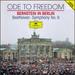Beethoven: Symphony No.9 (Ode to Freedom-Bernstein in Berlin)