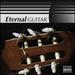 Eternal Guitar / Various