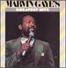 Marvin Gaye's Greatest Hits