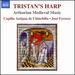 Tristan's Harp (Arthurian Medieval Music) (Naxos: 8.572784) (Luisa Maesso/ Juan Francisco Sanz/ Alfonso Sez/ Ana Lpez-Pintor/ Sergio Alonso/ Capilla Antigua De Chincilla/ Jos Ferrero)