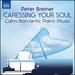 Breiner: Calm Romantic Piano [Peter Breiner] [Naxos: 8574256]