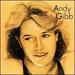 Andy Gibb 45 Rpm an Everlasting Love / Flowing Rivers